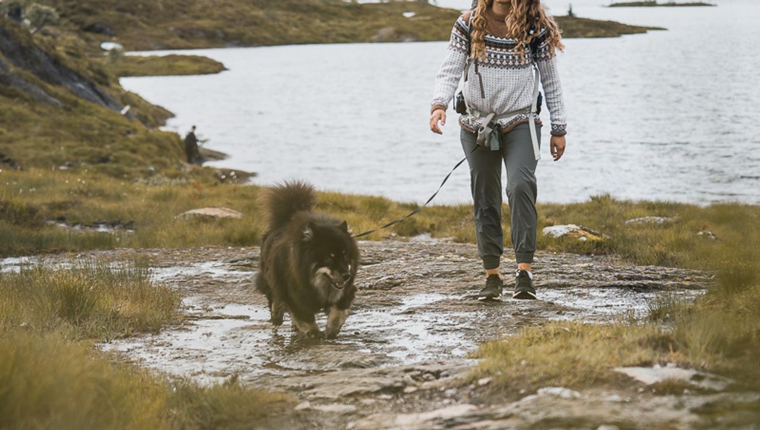 Woman and dog hiking in the mountains at Krokavatnet in Hardanger.