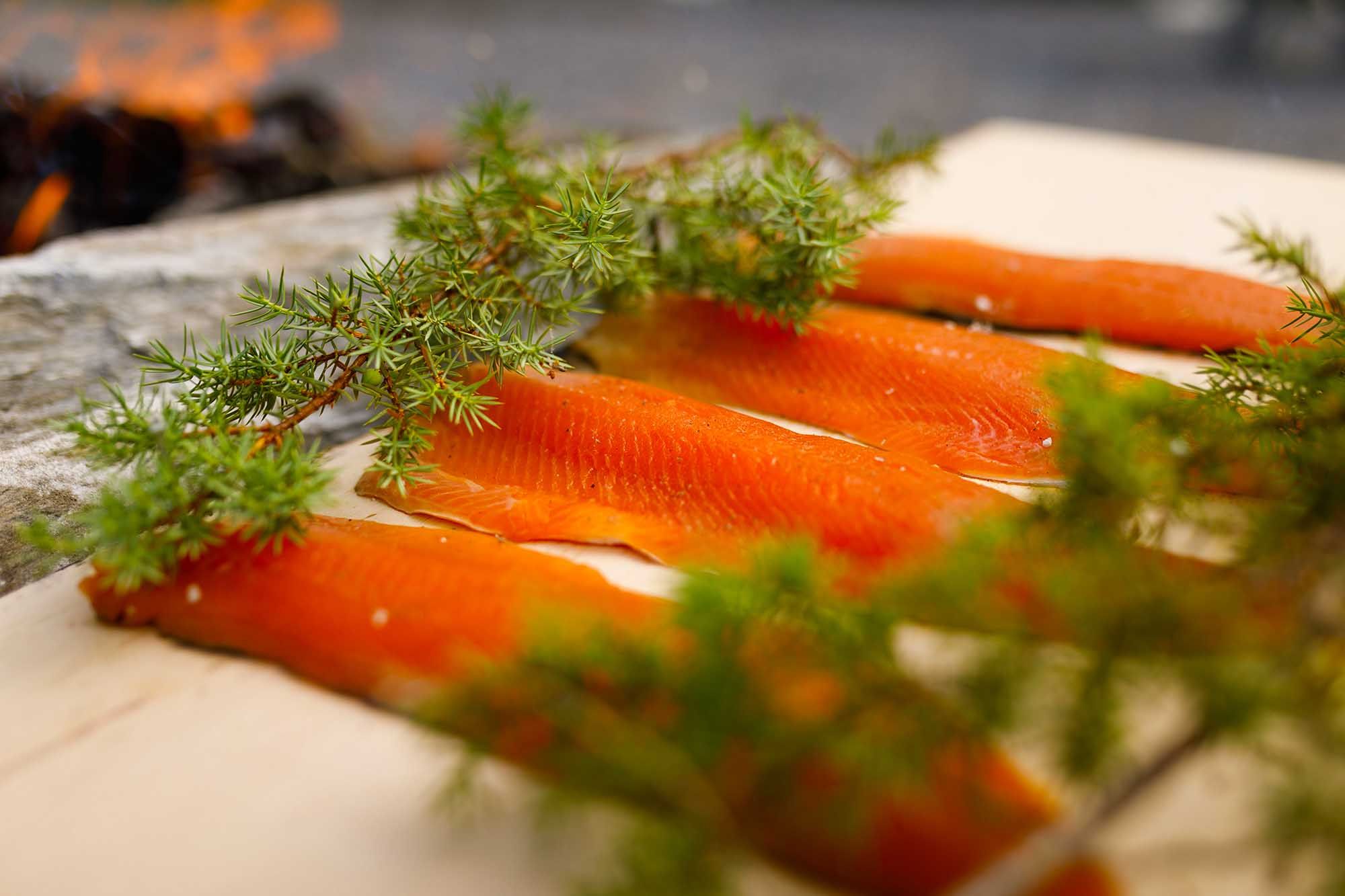 Cooking in connection with Trønder food and drink - somewhere near you 2022