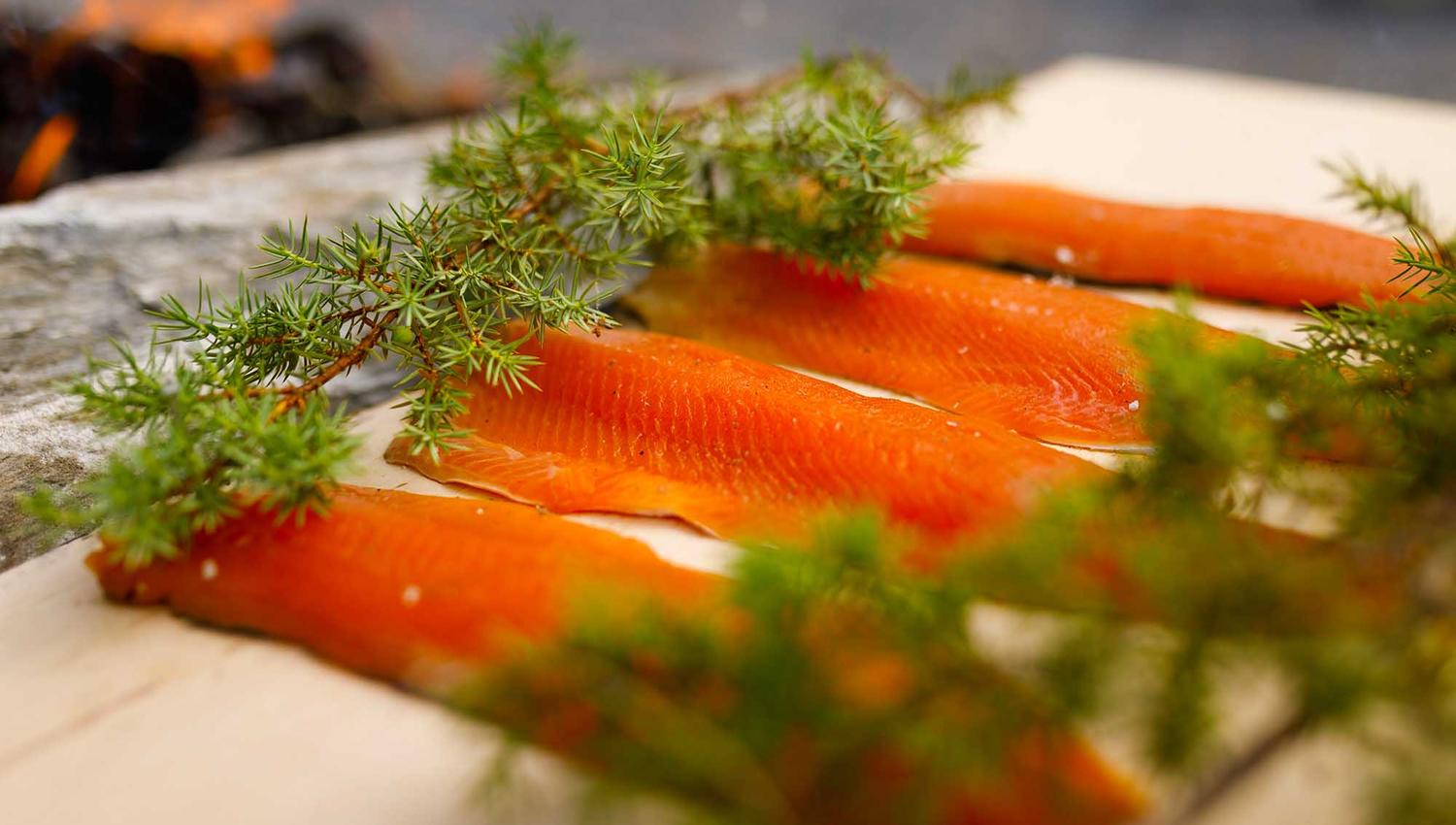 Cooking in connection with Trønder food and drink - somewhere near you 2022