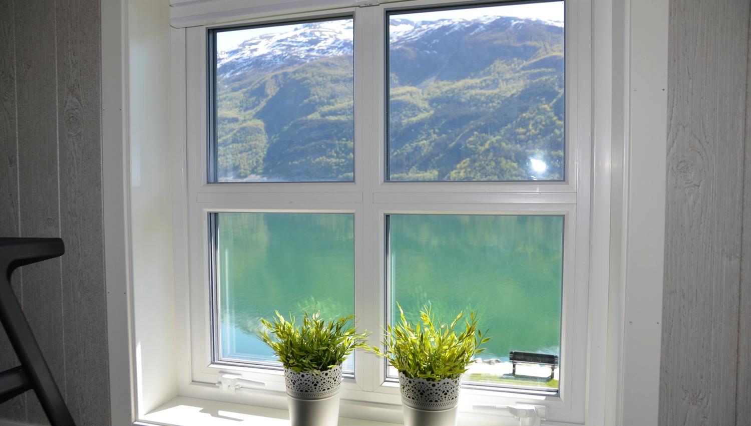 View from the window
