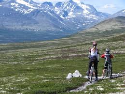 Alvdal Vestfjell