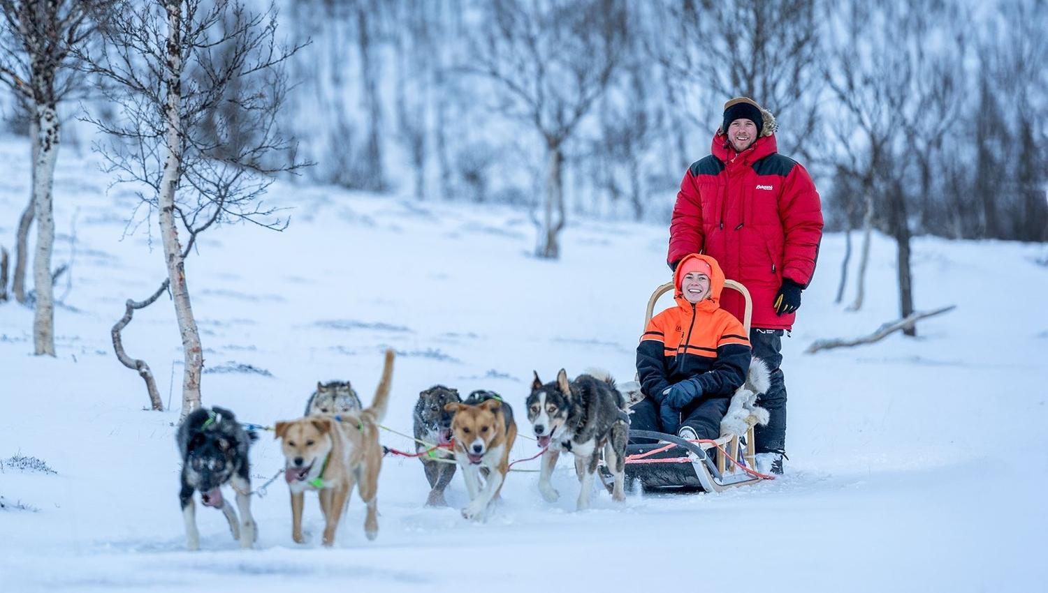 Gjester fører hundeslede