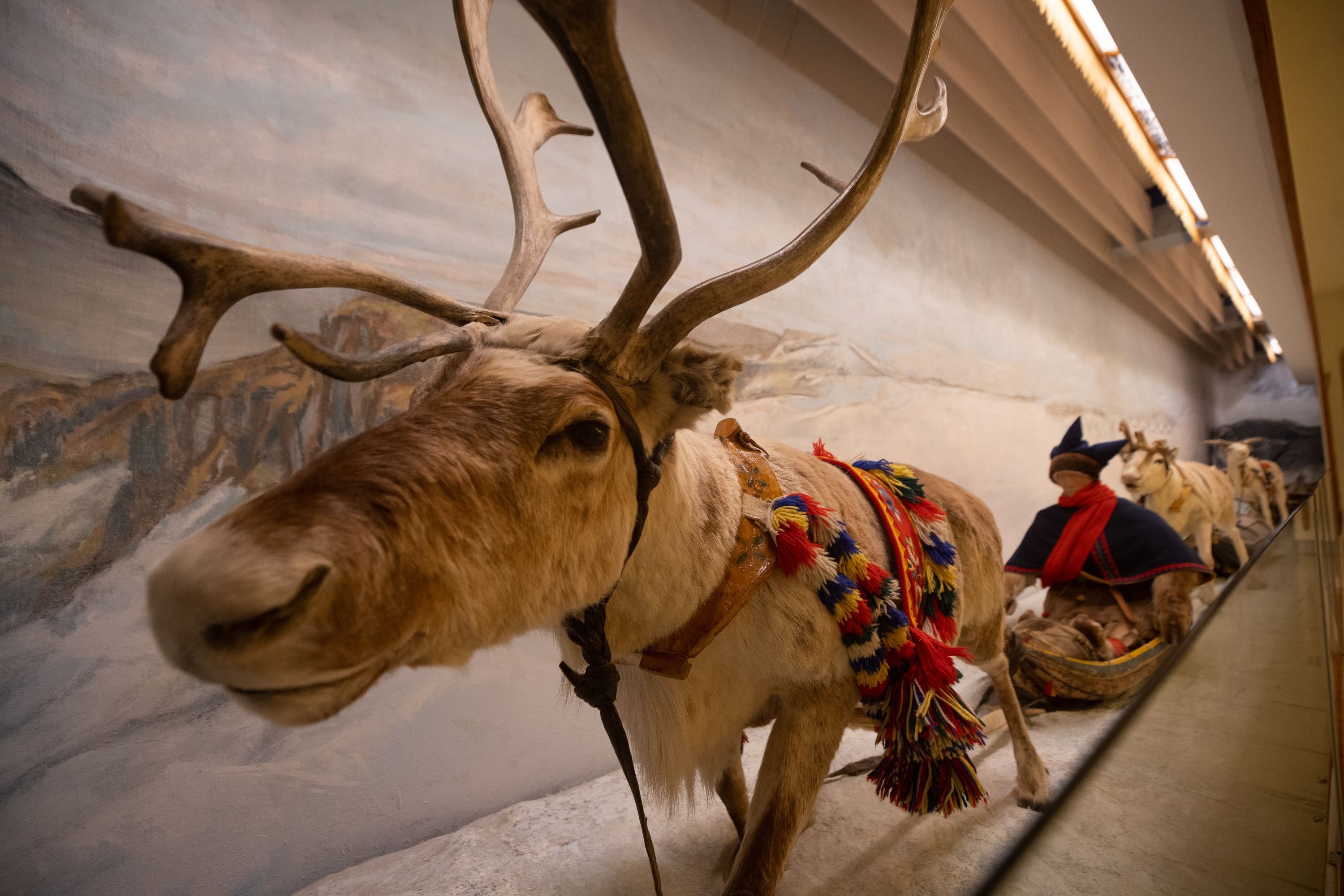 Exhibition at The Arctic University Museum of Norway