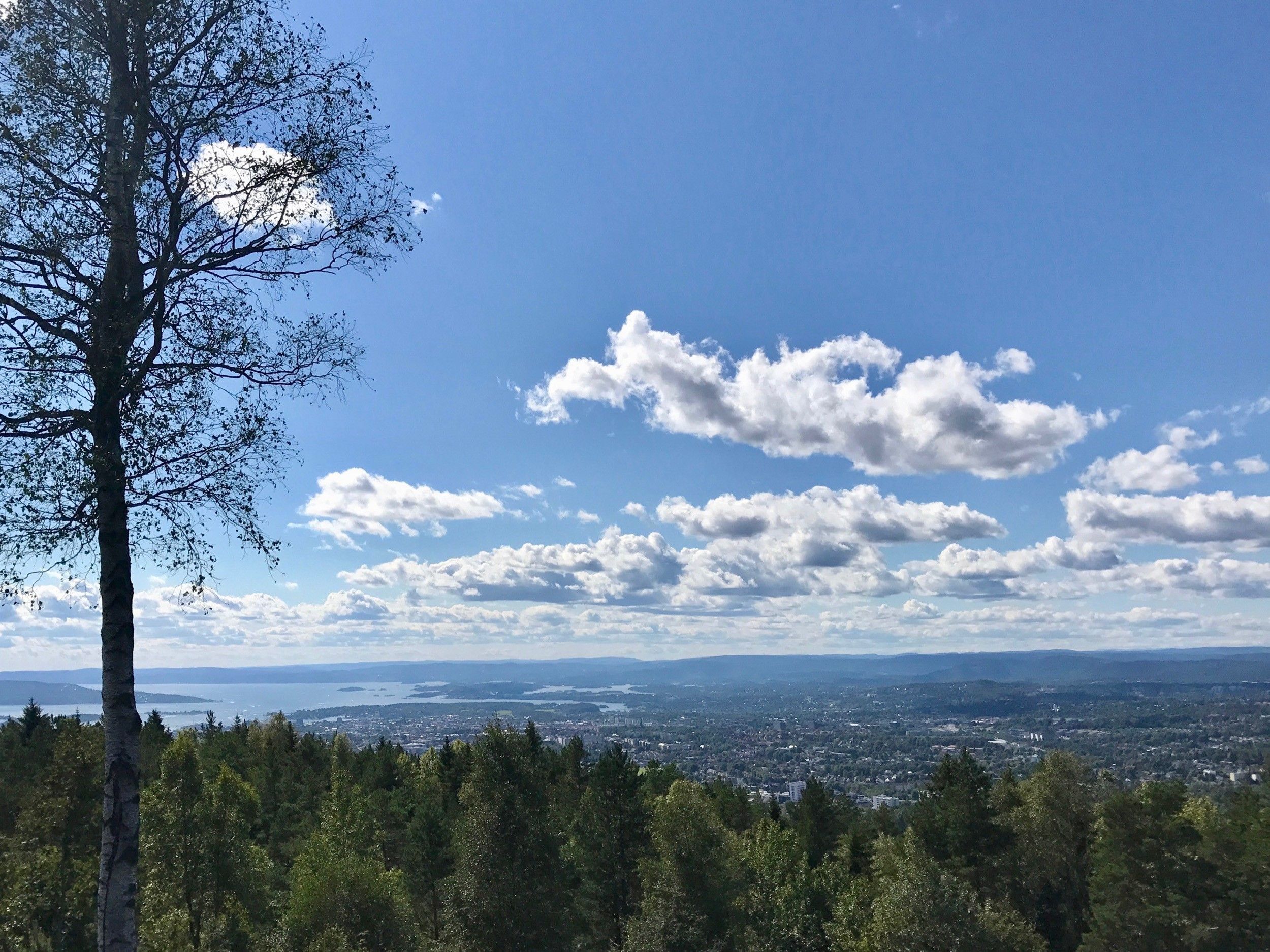 views of oslo, the fjord and nordmarka forest in nice weather