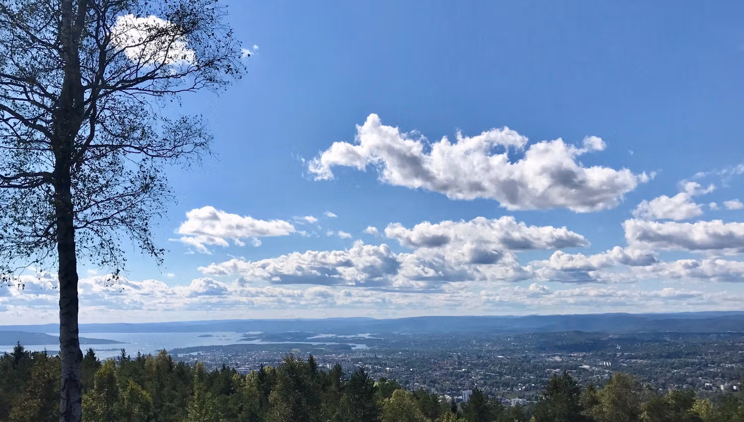 views of oslo, the fjord and nordmarka forest in nice weather