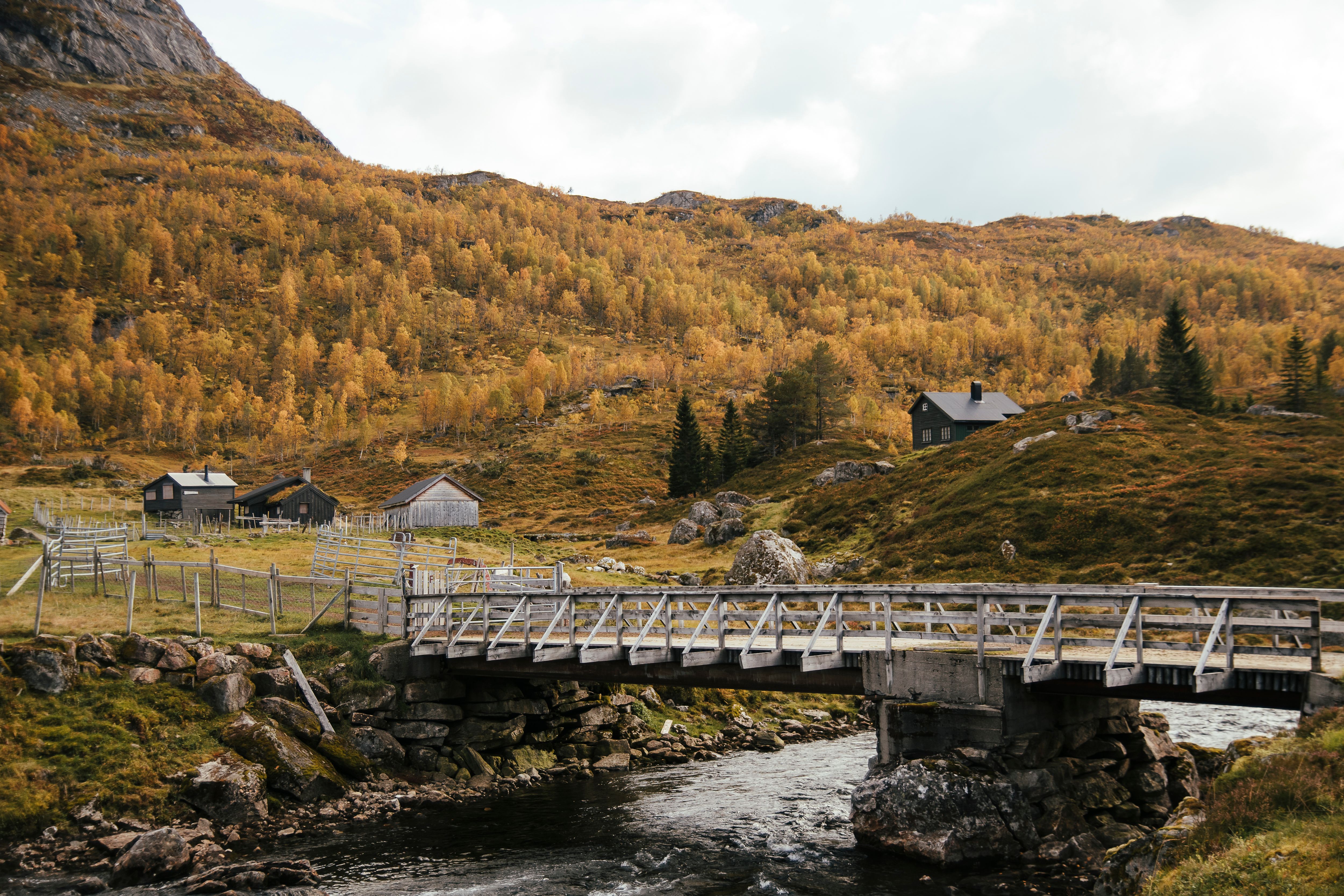 The hike takes place in cultural landscapes and active farms