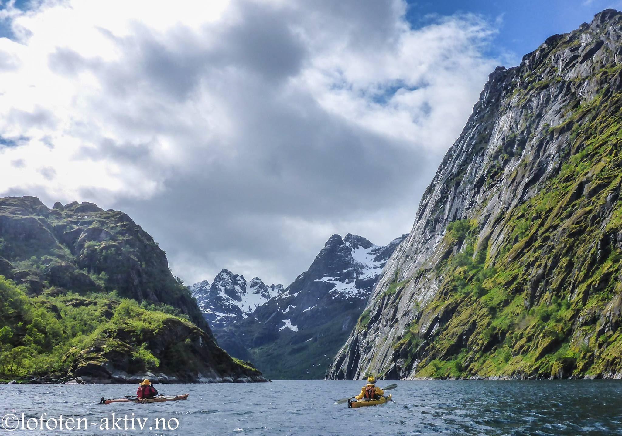Kajakktur heldag - Lofoten Aktiv