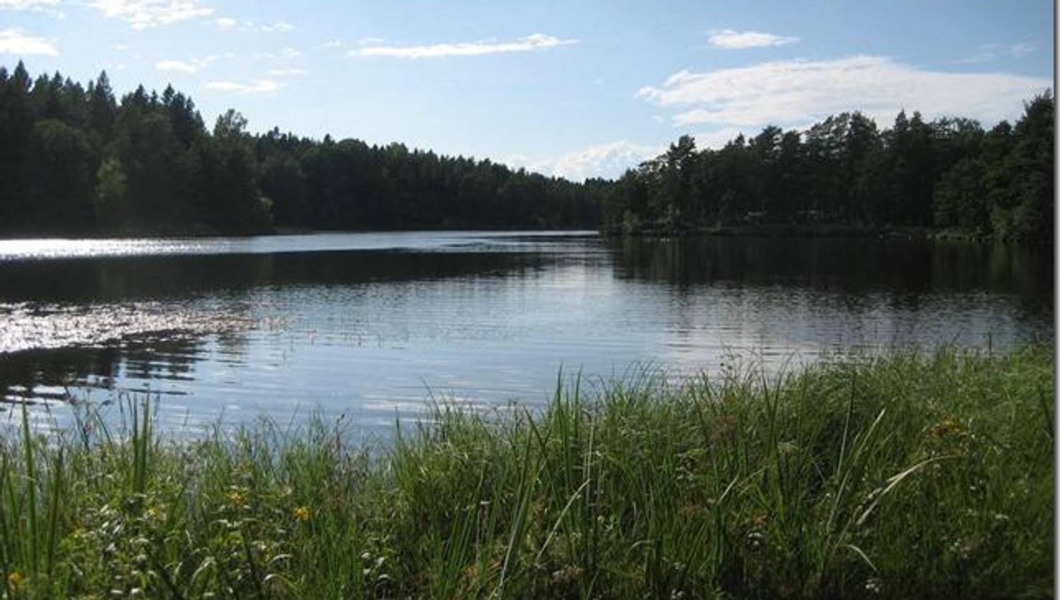 Ved Vansjø