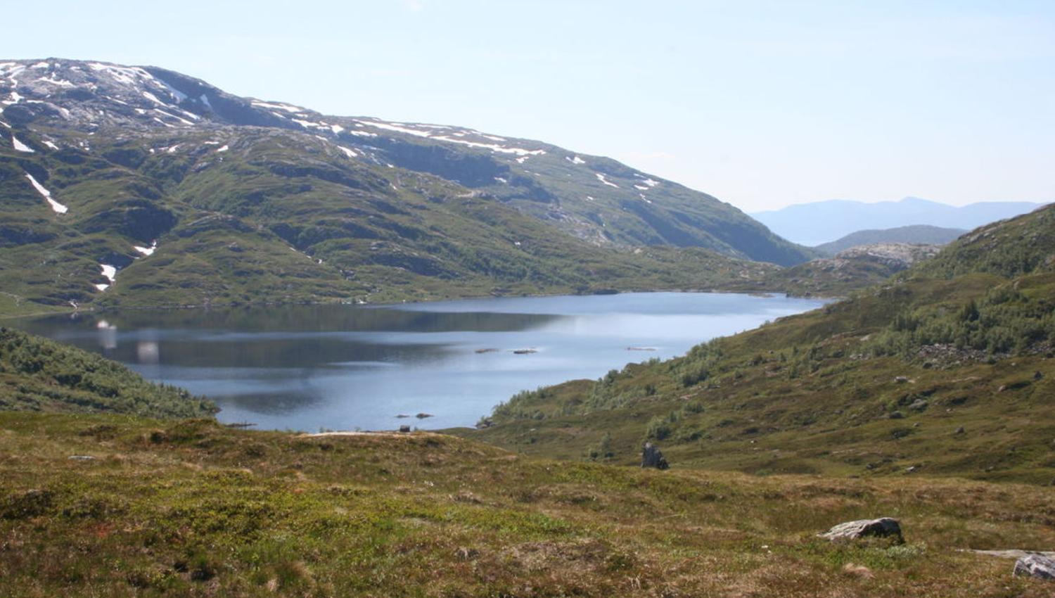Viddalsvatnet