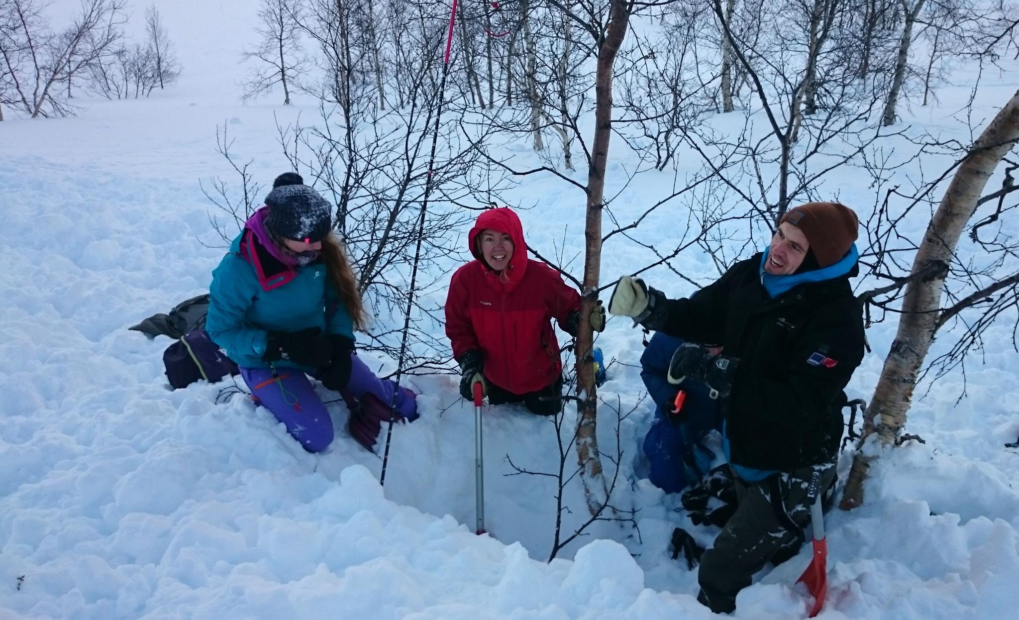 Ski touring course with Wild Voss