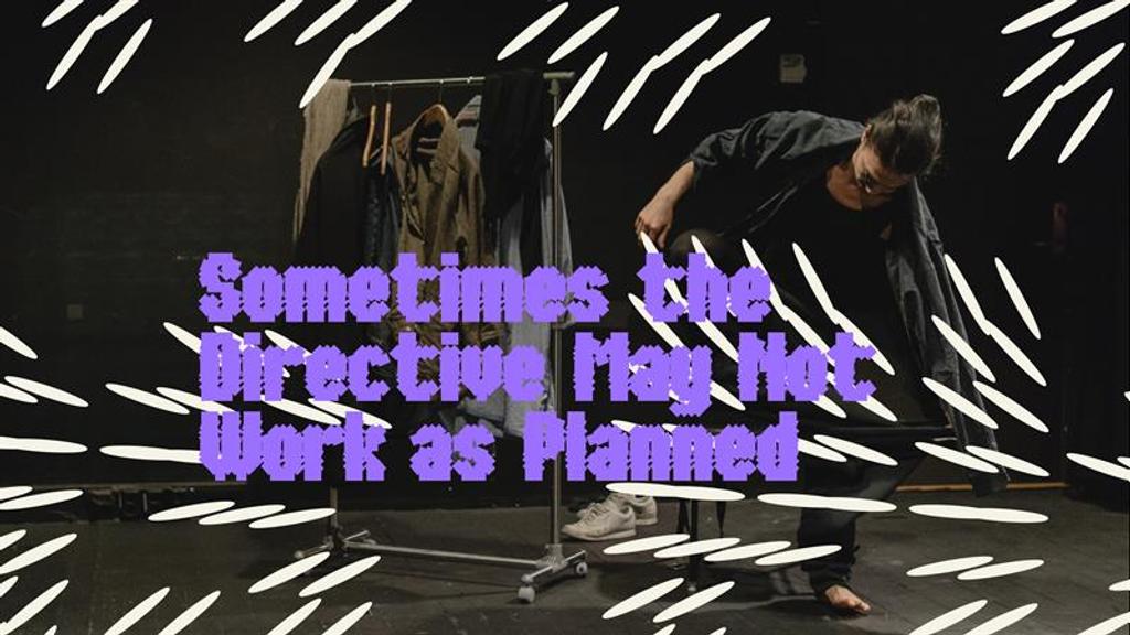 Sometimes the Directive May Not Work as Planned