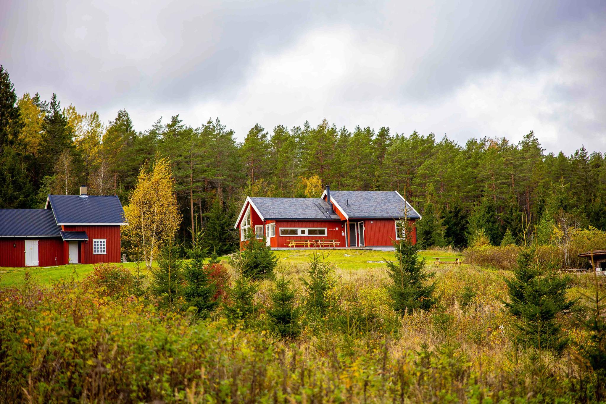 The red DNT cabin, Østtorphytta, and the surrounding forest in autumn colors. Photo.