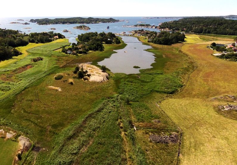 Oversiktsbilde over Kaupang. Grønt tomt ved havet.