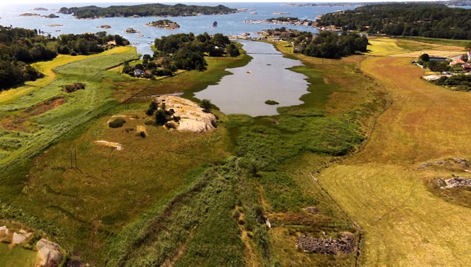 Oversiktsbilde over Kaupang. Grønt tomt ved havet.