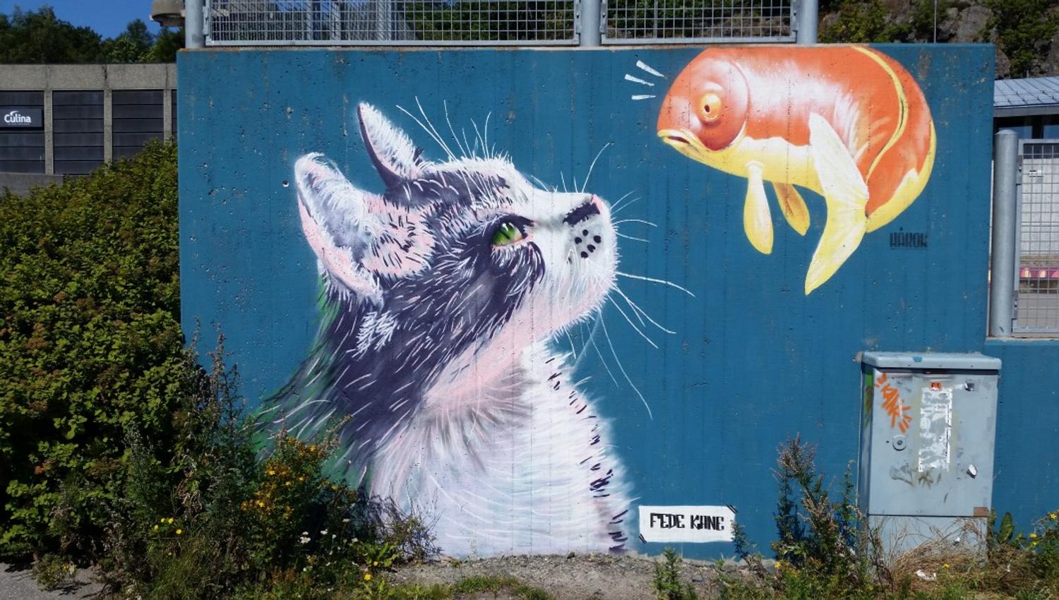 Gatekunst Kristiansand katt av Sedin Zunic