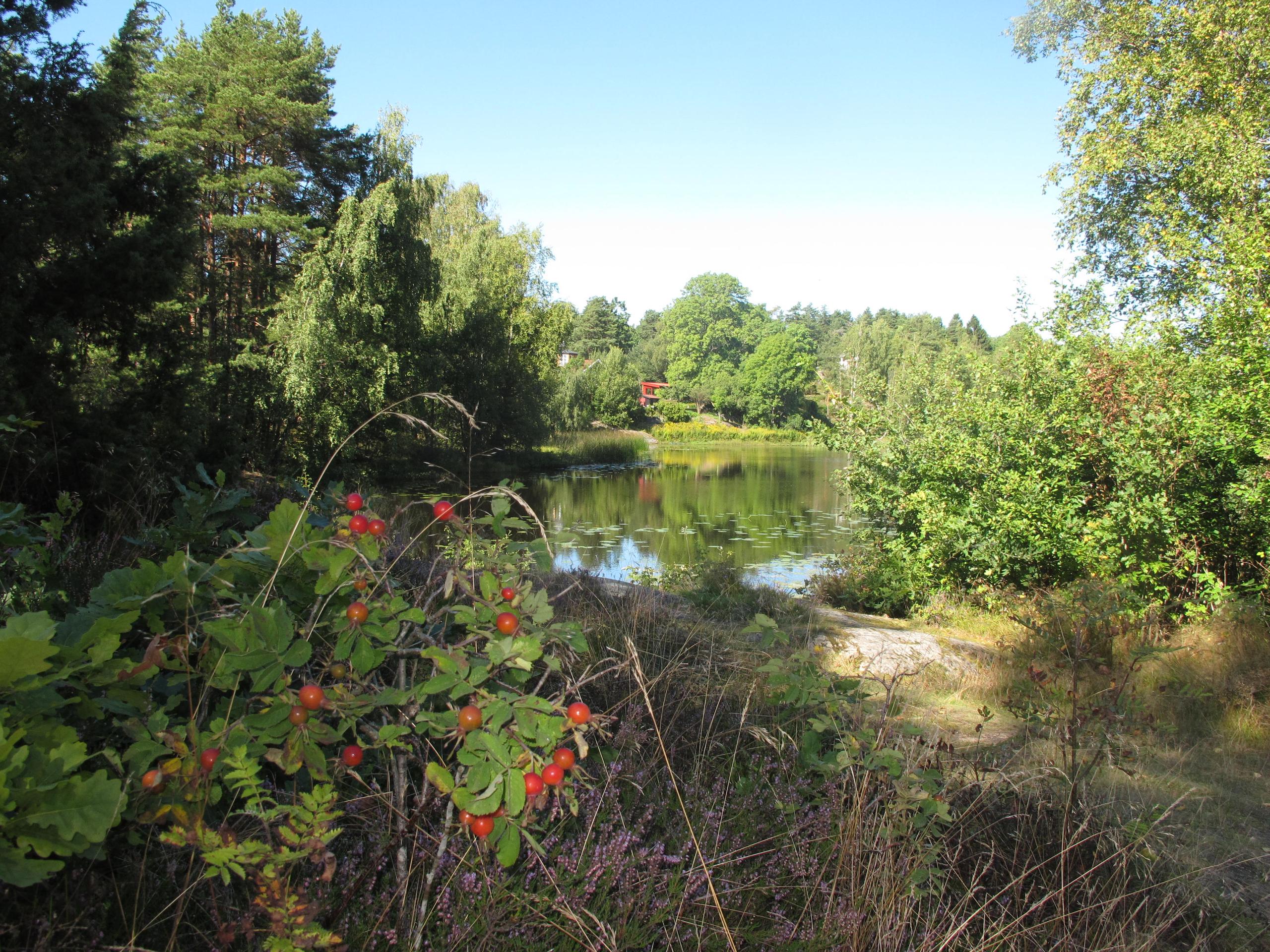 The Pilgrim’s Route 4 Mastemyr-Oslo