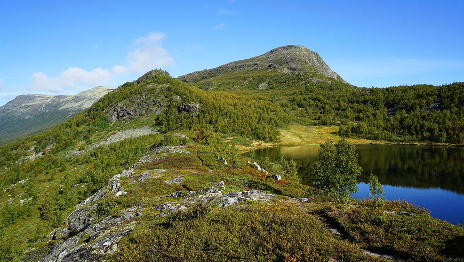 web_Nøsakampen_Caroline Svae4