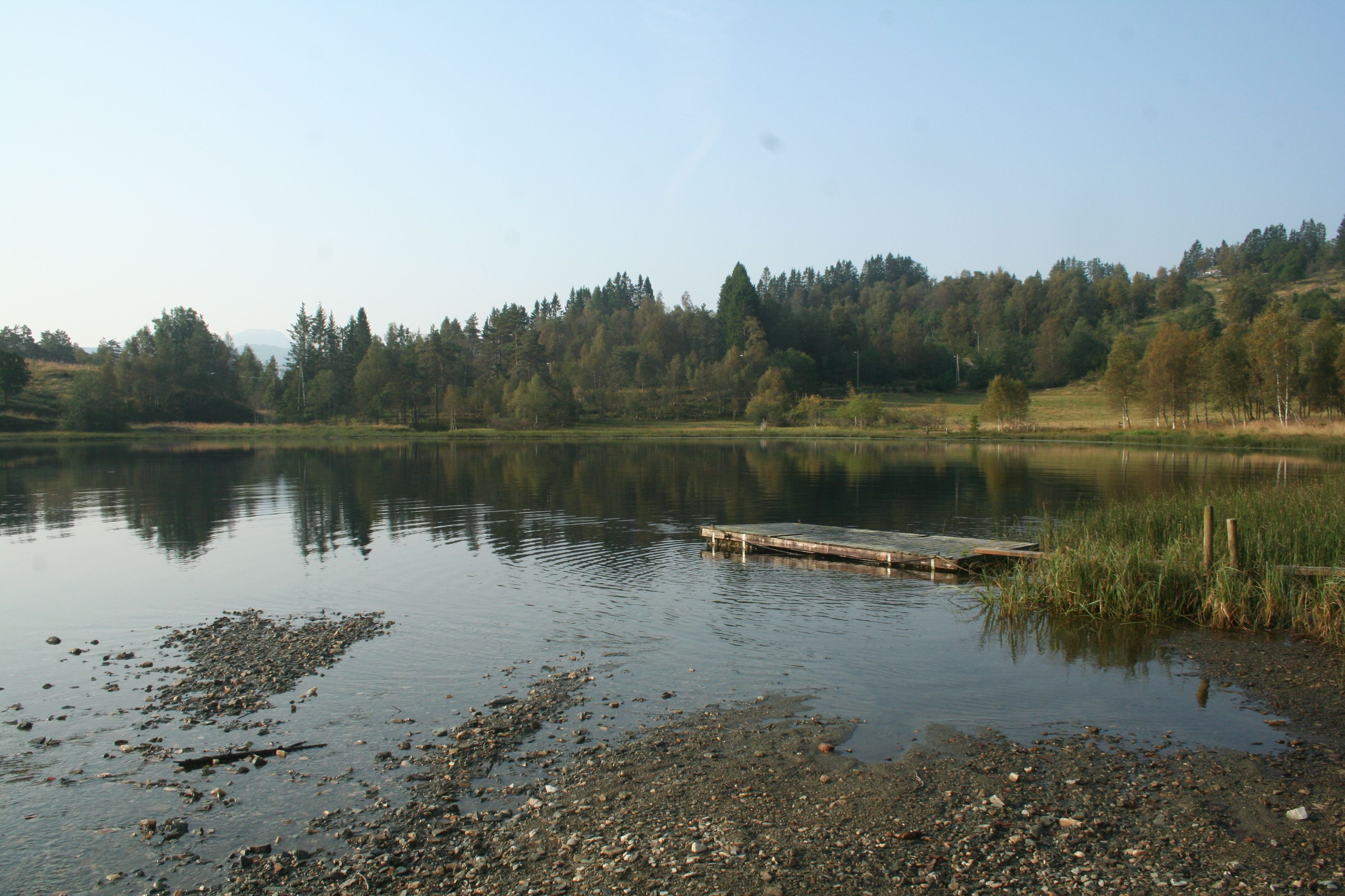 Small dock by the lake – perfect for swimming and fishing in a peaceful setting.