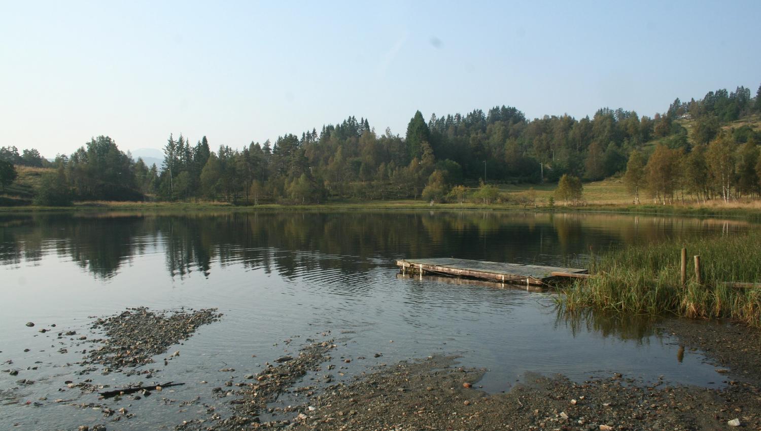 Small dock by the lake – perfect for swimming and fishing in a peaceful setting.