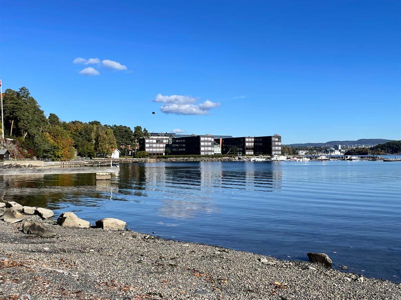 Beach, water and the buildings at Lysaker port