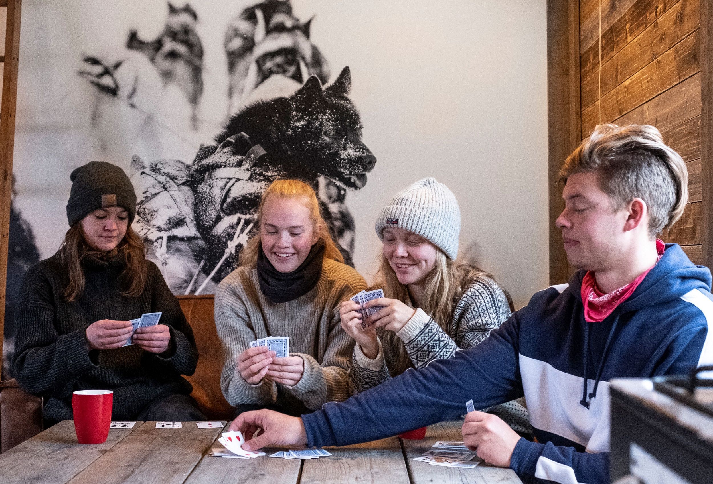 A group of guests playing cards in the living room at Tommy's Lodge