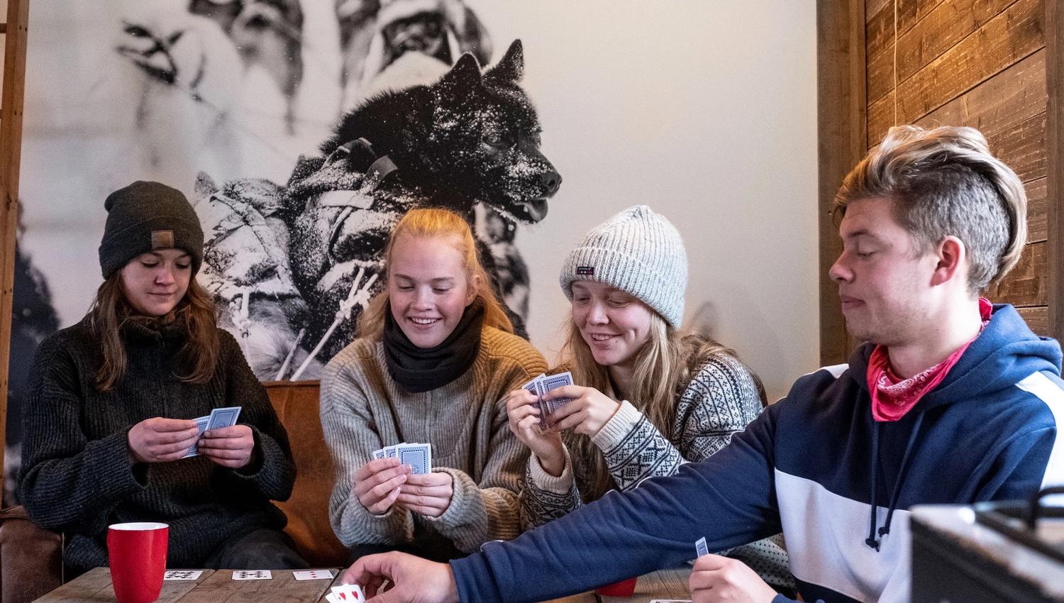 A group of guests playing cards in the living room at Tommy's Lodge