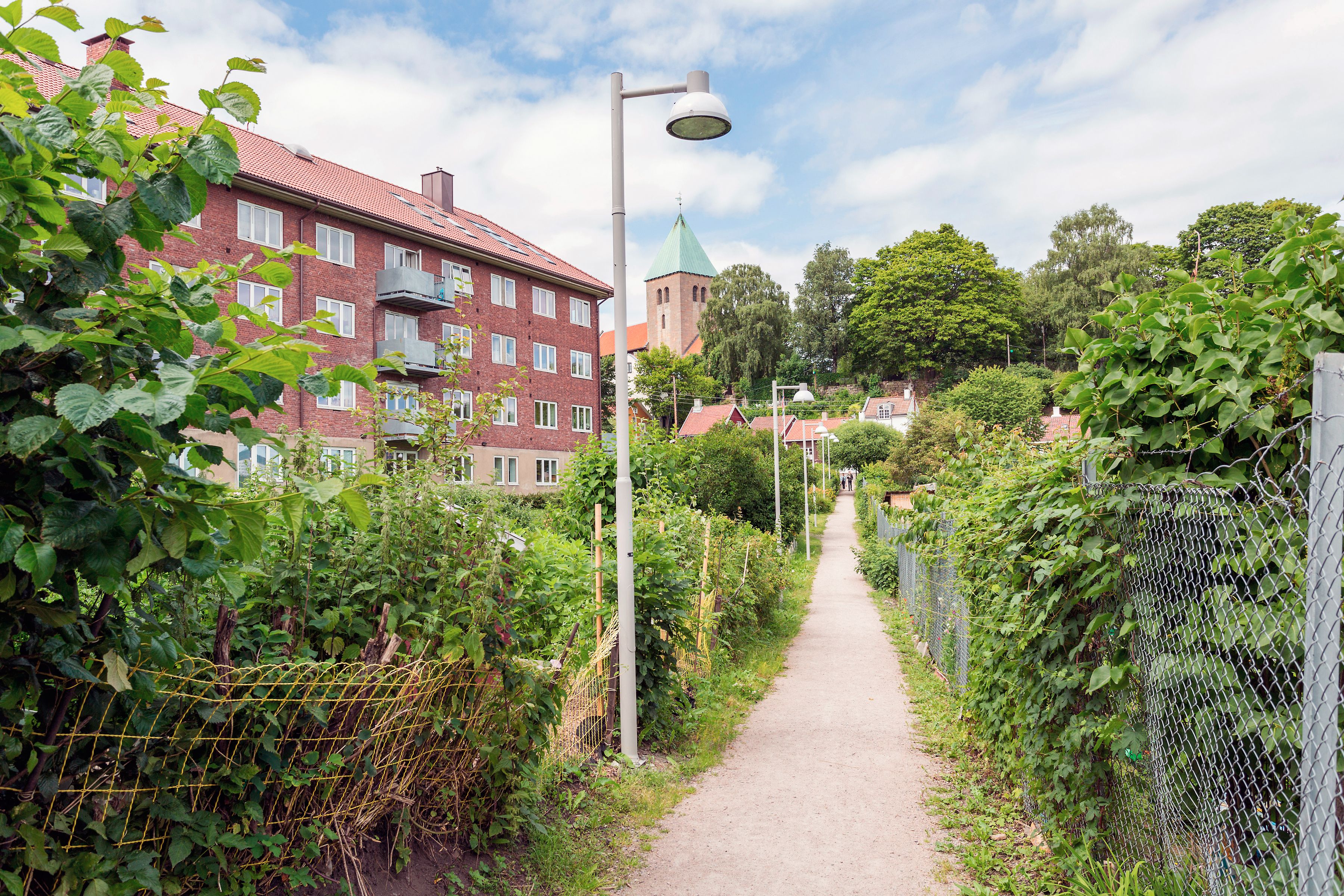 The trail through the garden.