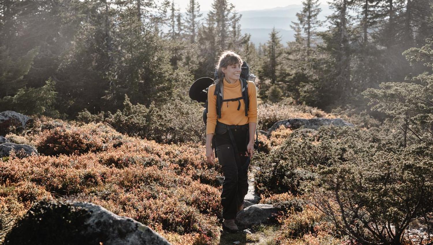 Person walking on a trail in forest and mountain terrain