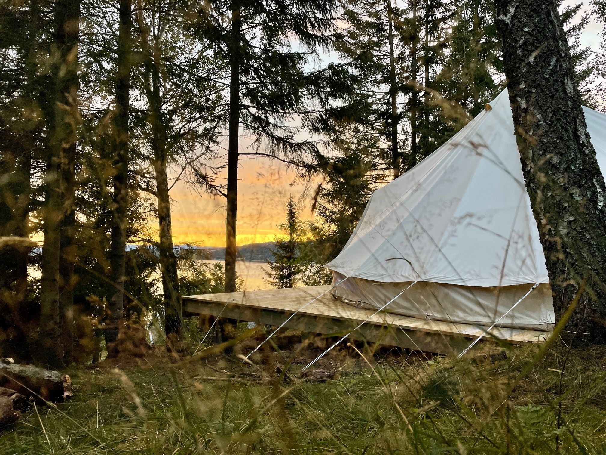 Glamping