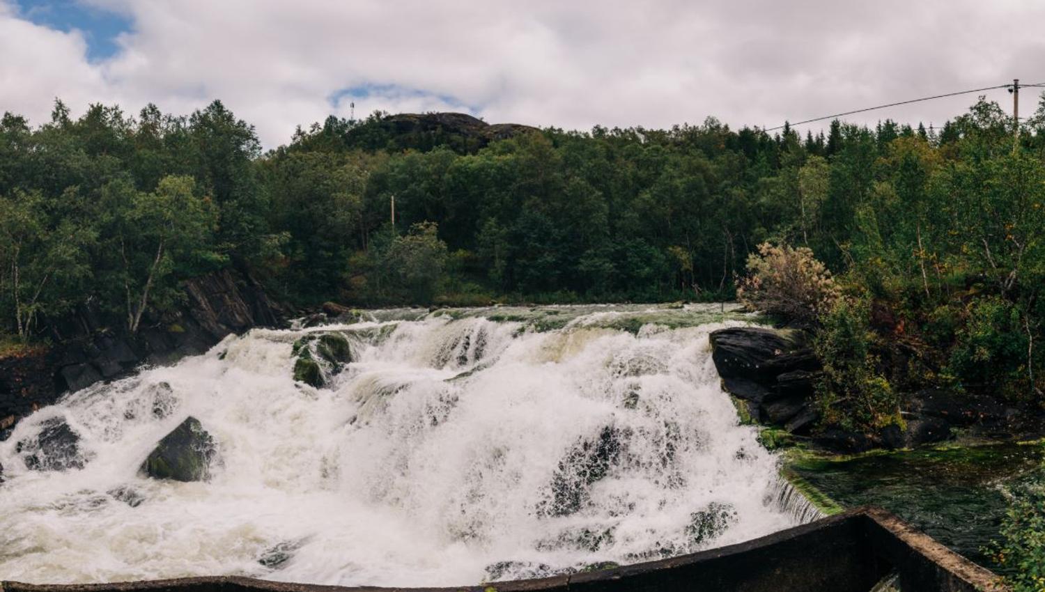 Bred foss med skummende vann over mørke steiner, omgitt av tett skog og overskyet himmel..