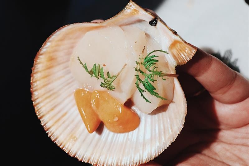 Detail photo of a hand holding a shell.