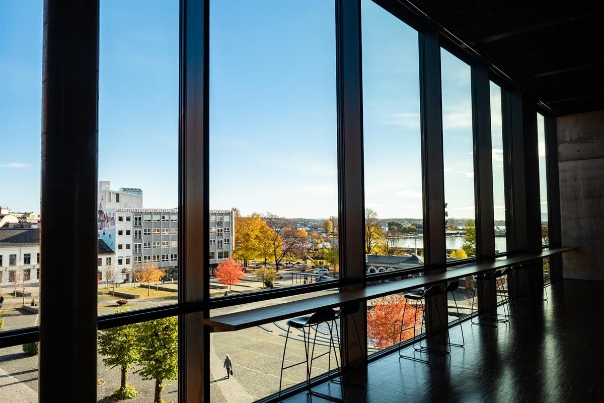 Hamar kulturhus utsikt