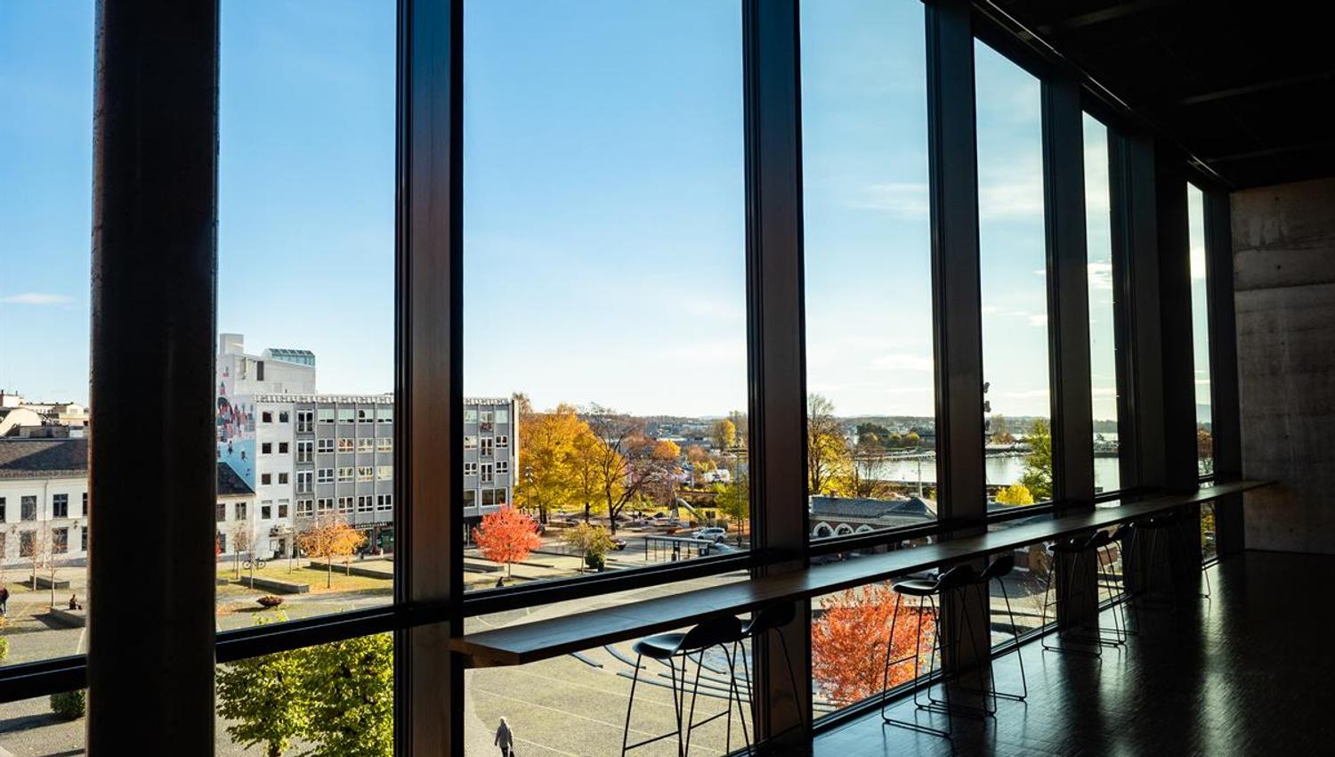 Hamar kulturhus utsikt