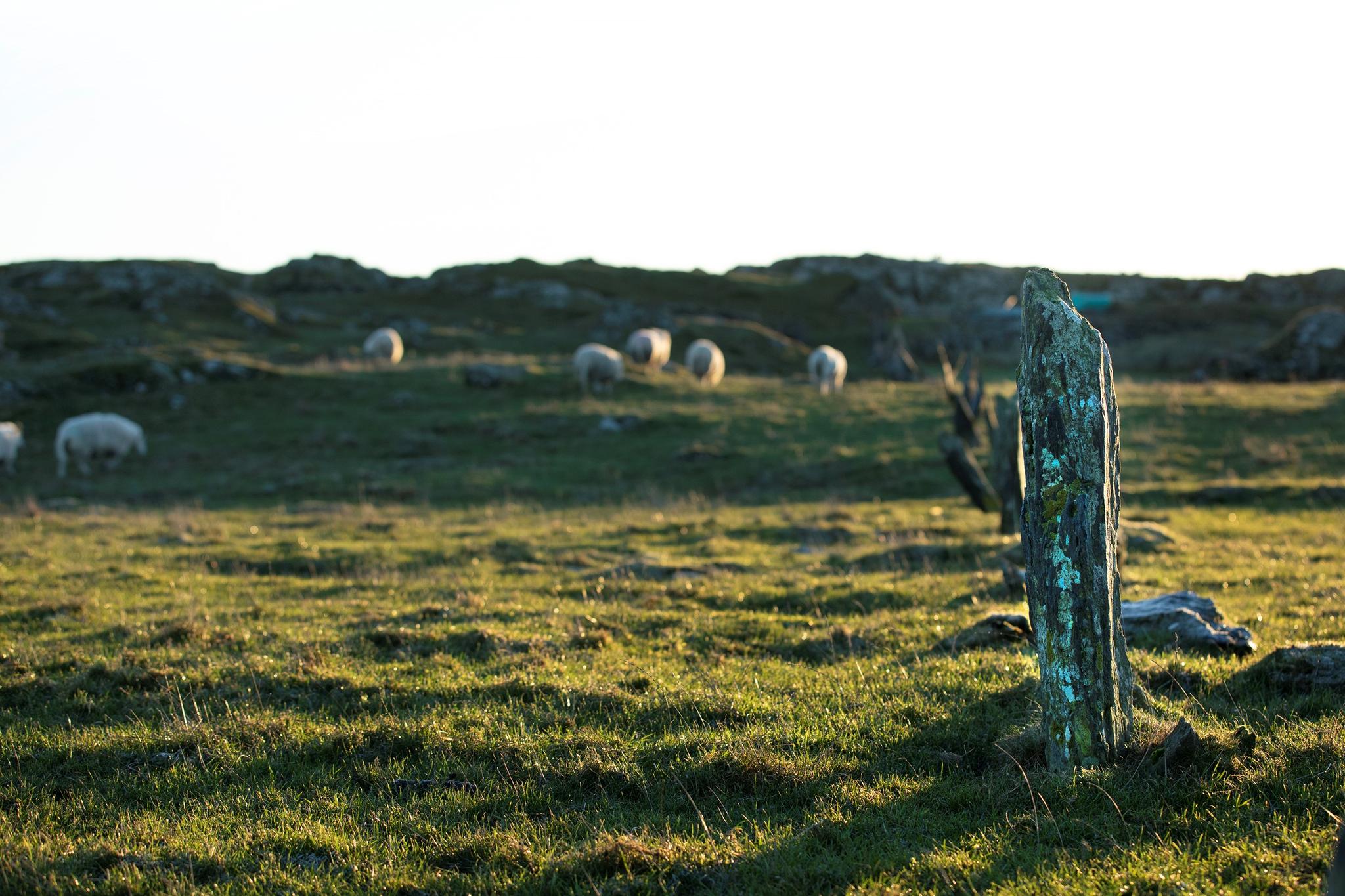 The hiking area west at Kvitsøy
