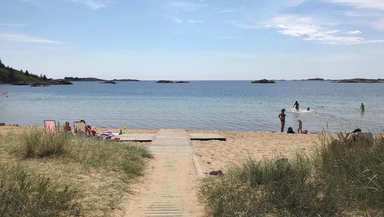 Lomsesanden-strandliv