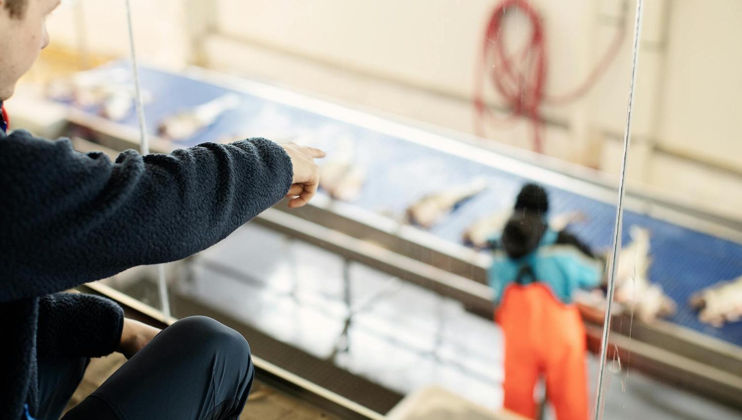 Un uomo punta verso un tavolo di pesce in un ambiente industriale.