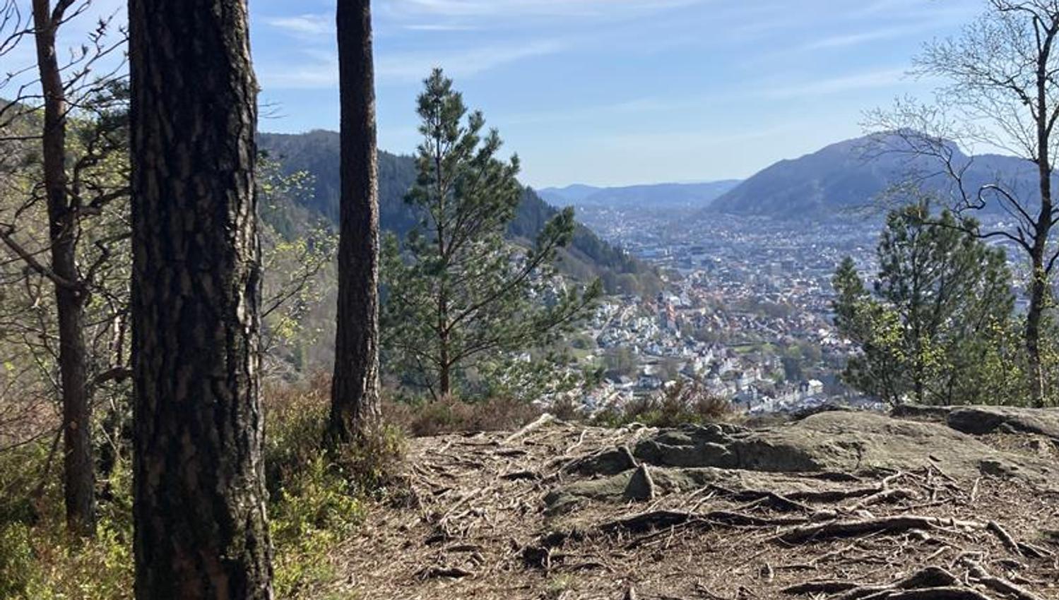 Guided mountain hike in Bergen including lunch