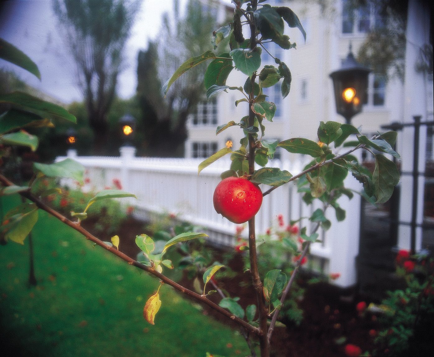 Lillesand Hotel Norge