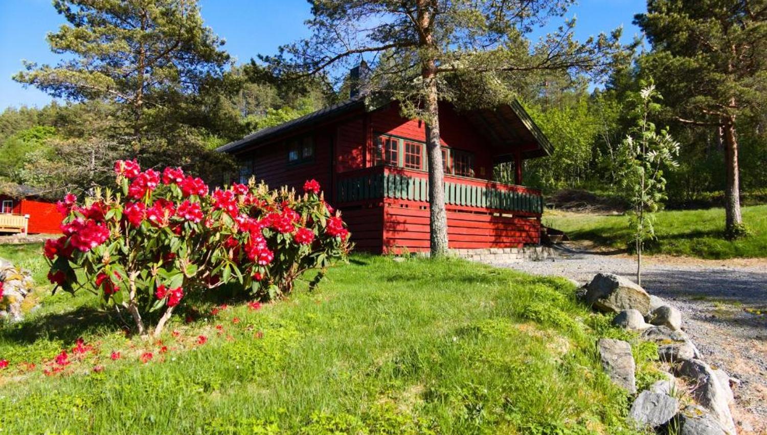Sjøholt Camping