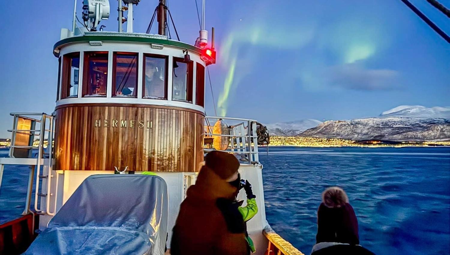 Guests looking at the northern lights