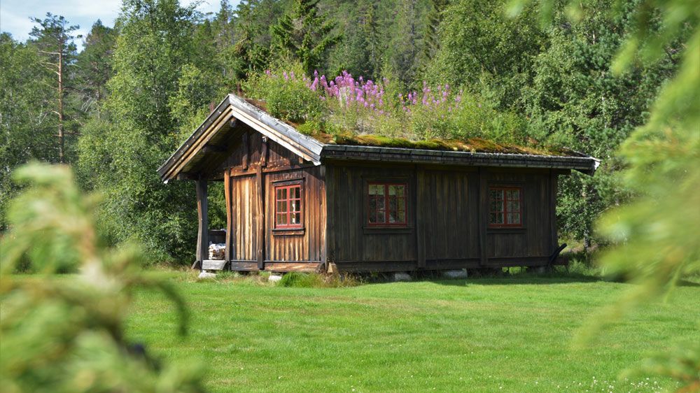 hytte til Fiskebustøylen i Fyresdal