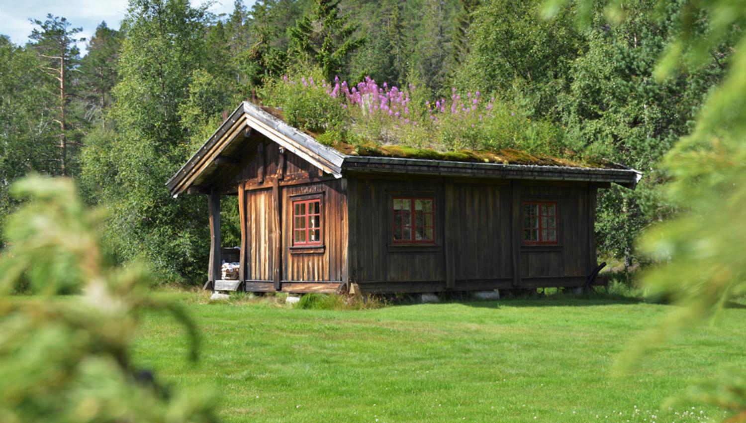 hytte til Fiskebustøylen i Fyresdal
