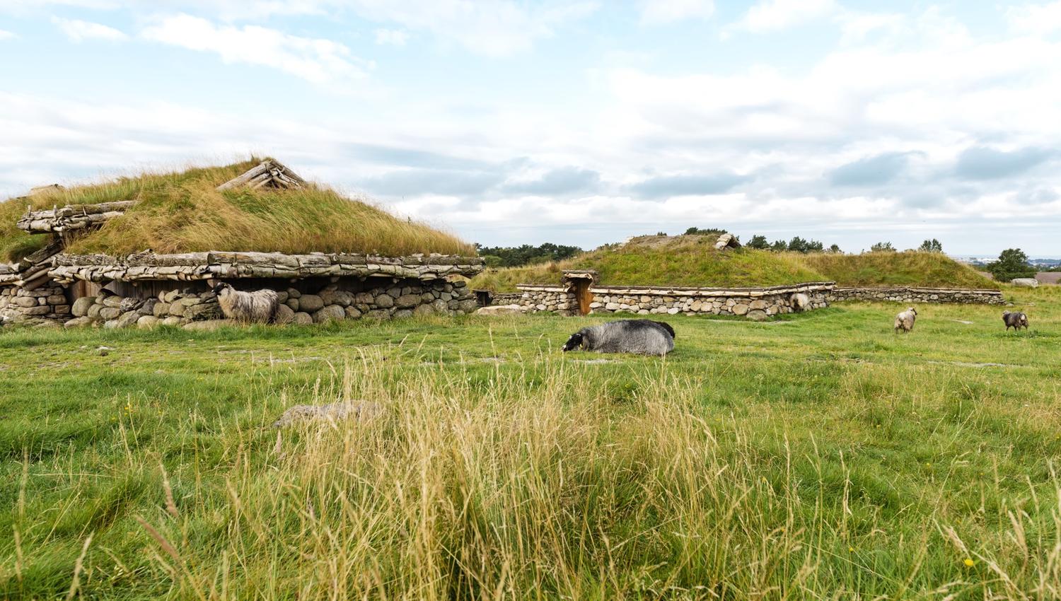 The reconstructed farmstead from the Migration Period (350-550 AD).