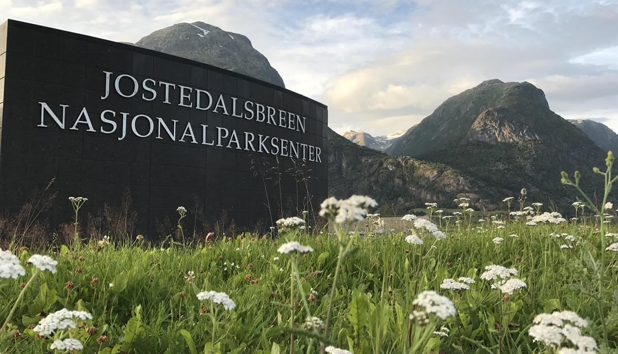 Svart skilt med teksten «Jostedalsbreen nasjonalparksenter» framfor fjell, eng og kvite blomar..