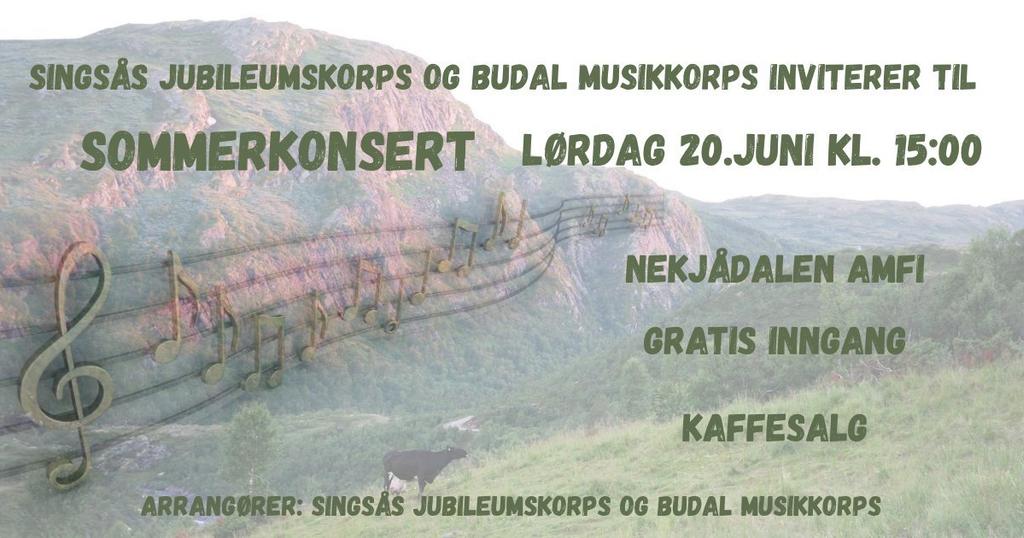 Summer concert