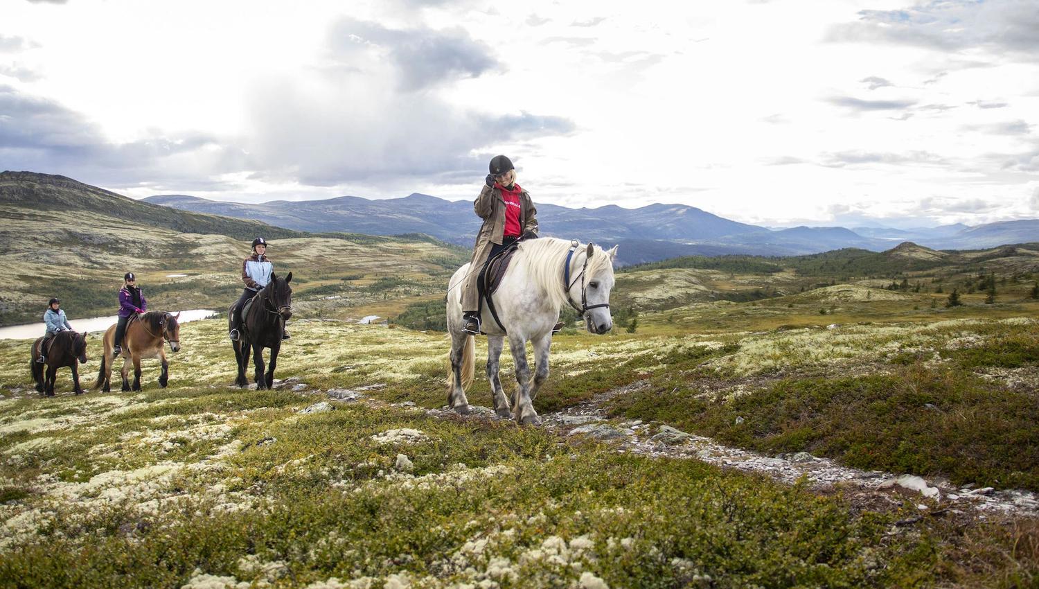 ridetur i fjellet hos Venabustallen