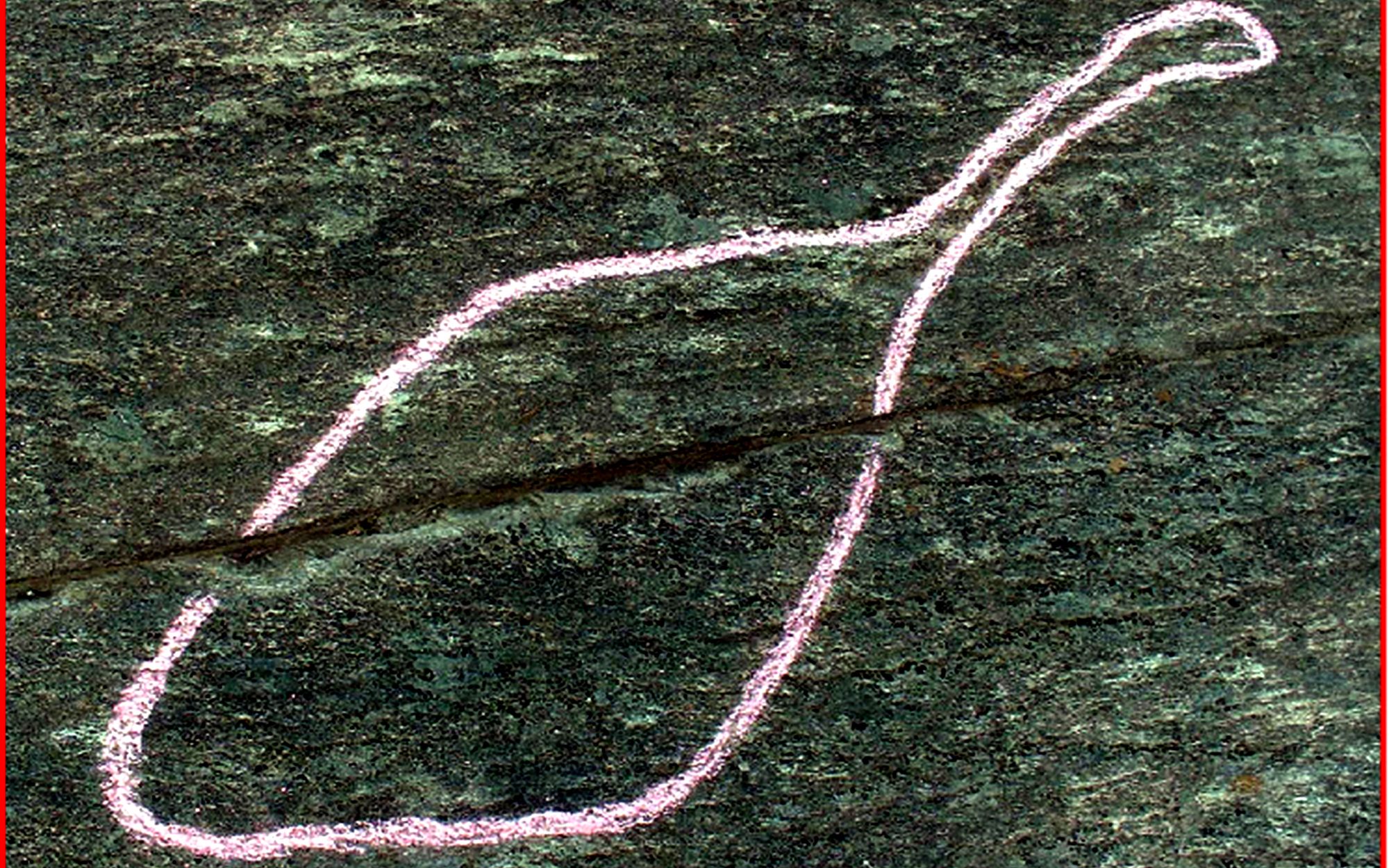 The Rock carving of a bird at Bøla in Steinkjer