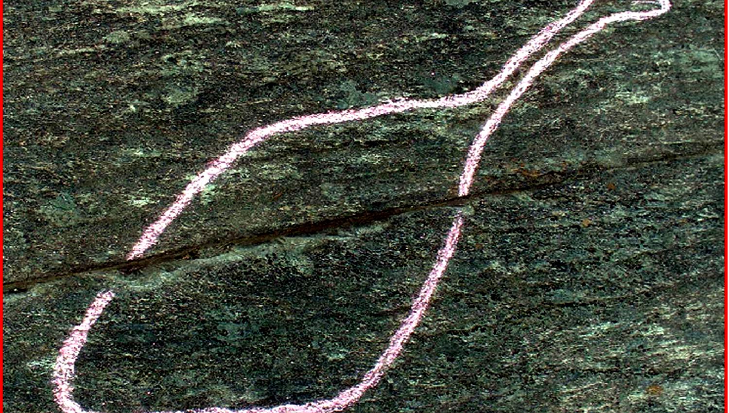The Rock carving of a bird at Bøla in Steinkjer