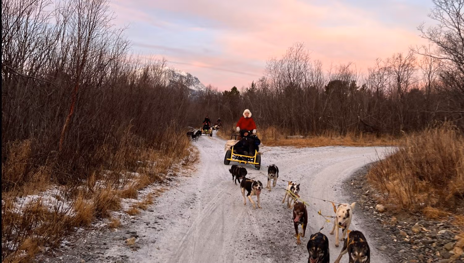 Dog sledding on wheels through a lightly snow-covered landscape in Skibotn Valley