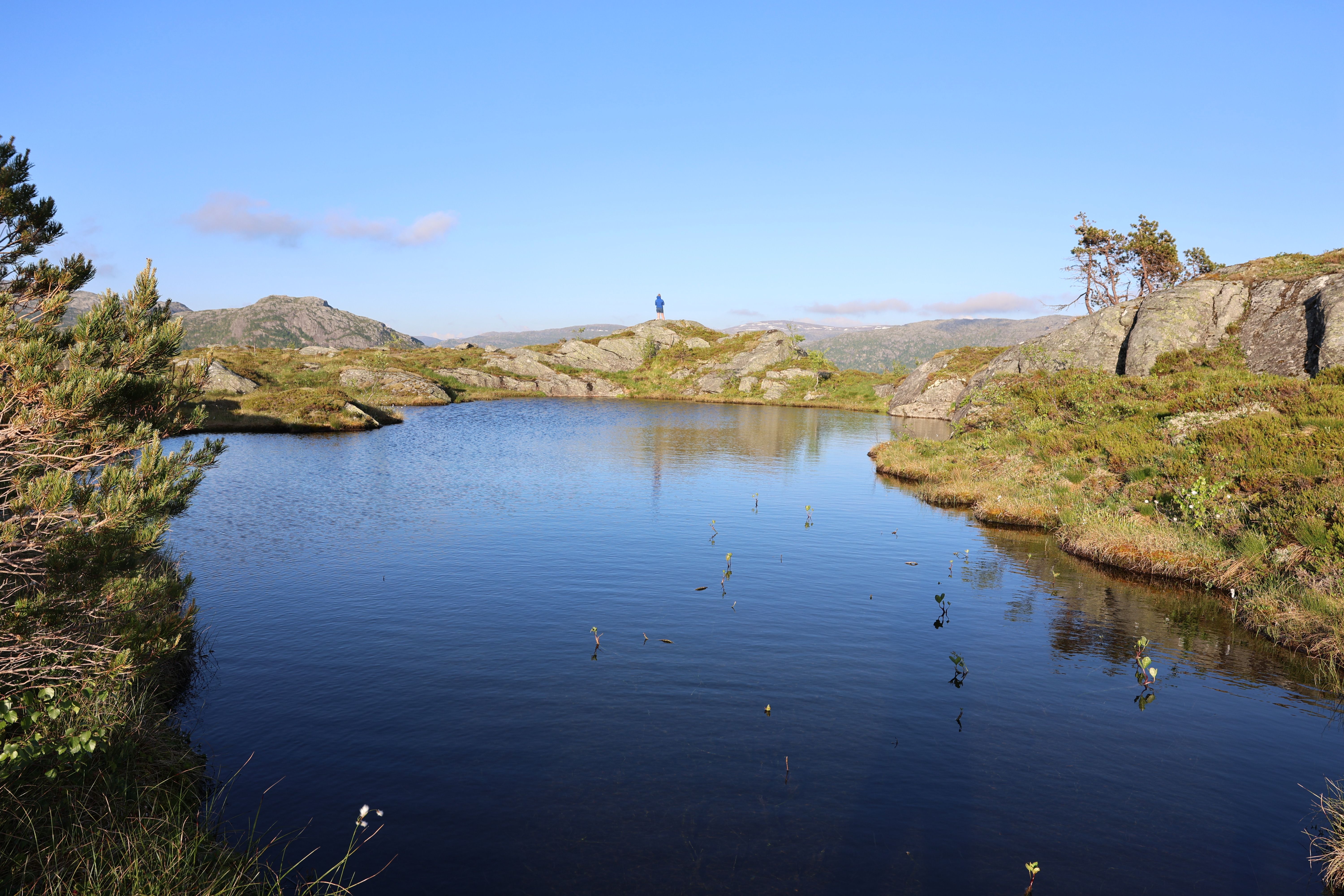 Træet gård - Osterøy